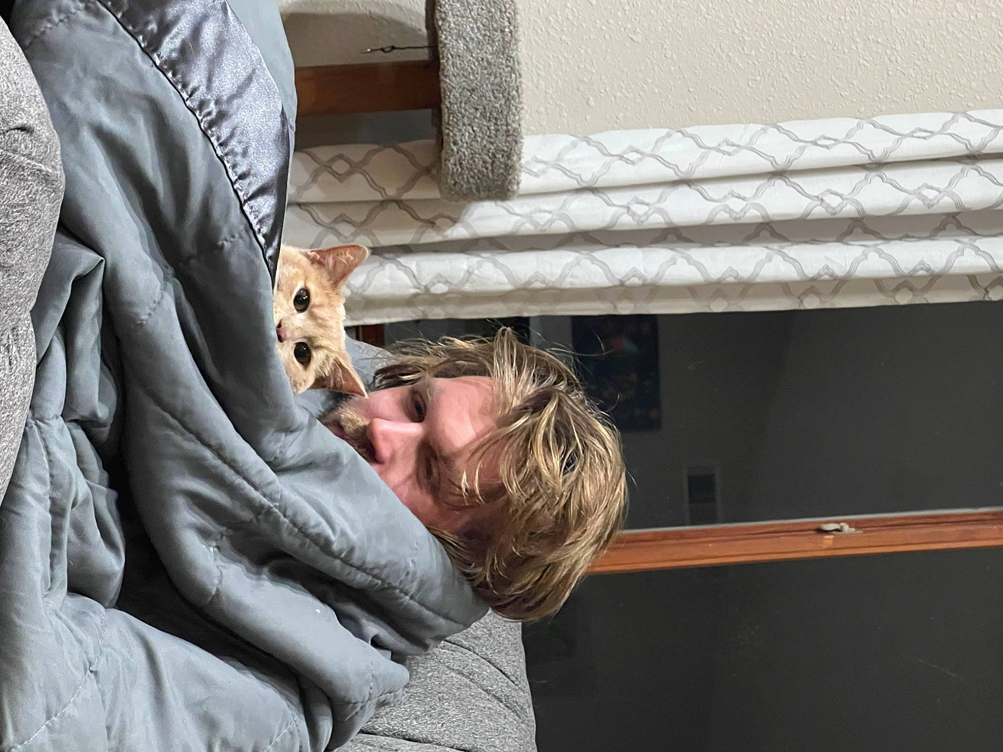 Sunnie joined the competition — help win amazing prizes! child, comfort, companion_dog, eyewear, felidae, fur, glasses, nap, sitting, sunglasses, window, wood