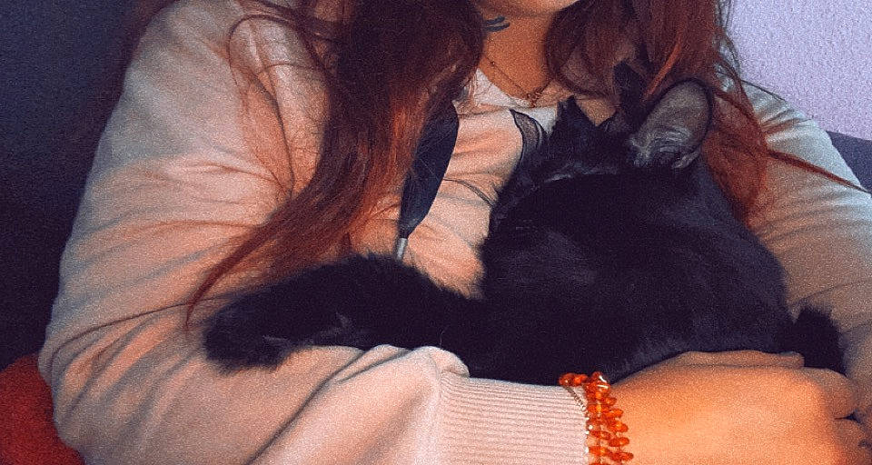 Maïko participe au concours pour gagner de l'argent avec cette photo : abdomen, black_hair, carnivore, cat, comfort, companion_dog, eyelash, fawn, felidae, gesture, happy, human_leg, lap, layered_hair, leg, long_hair, neck, small_to_medium_sized_cats, thigh, whiskers