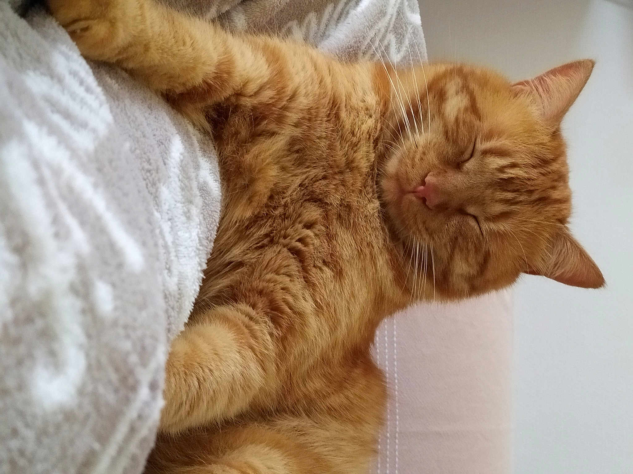 Casimir