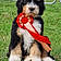 Bertie