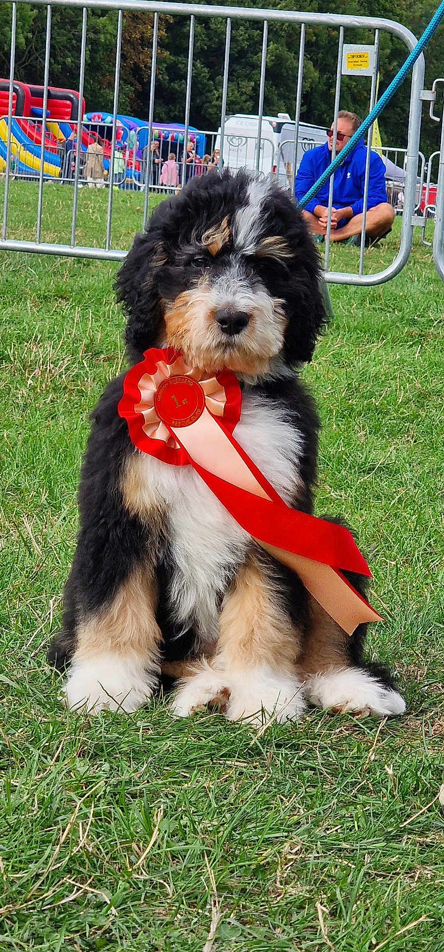 Bertie