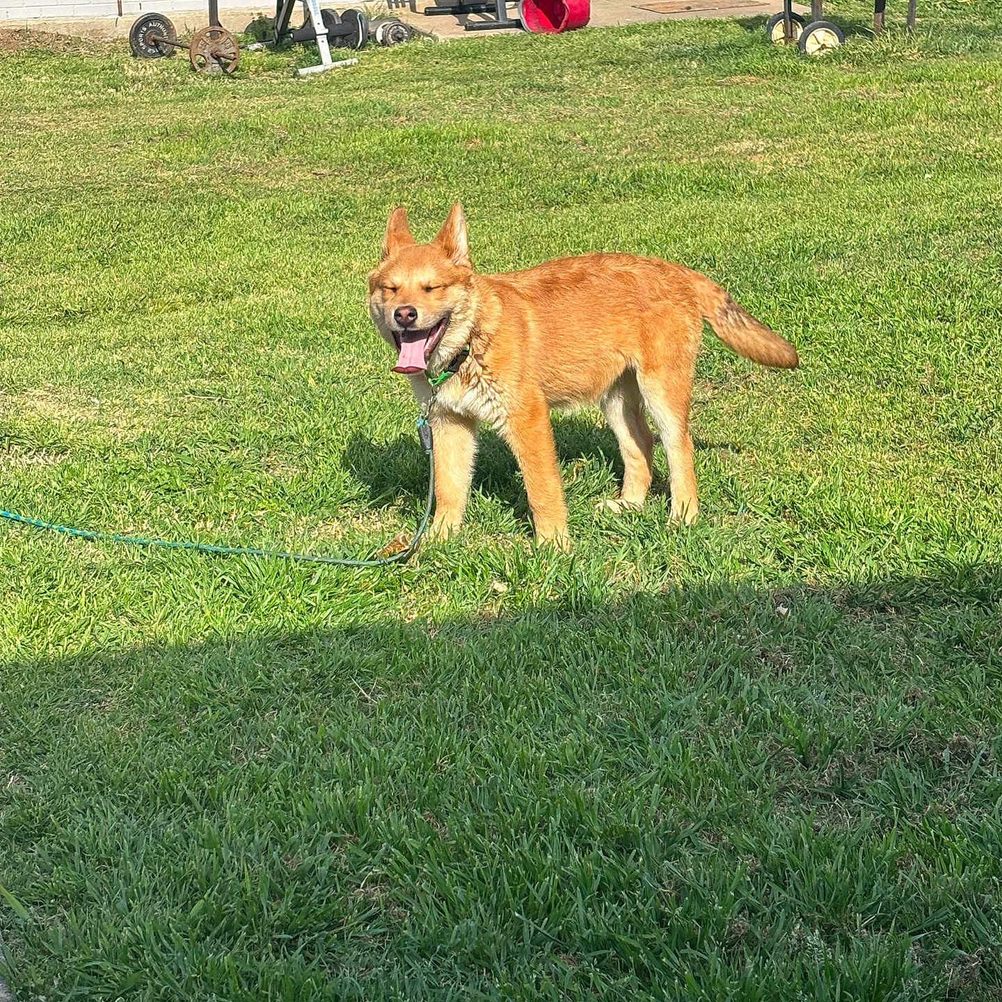Coda