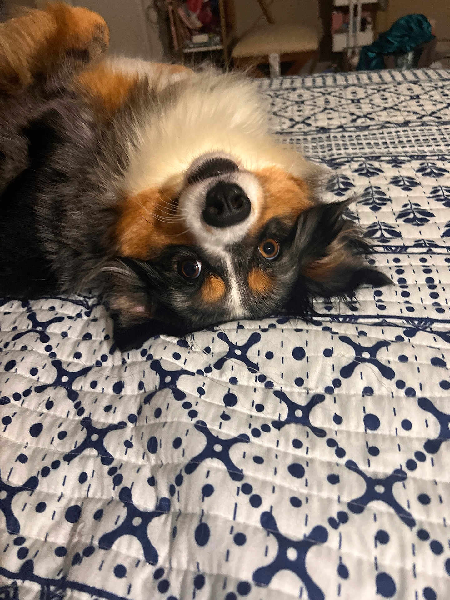 Stormi