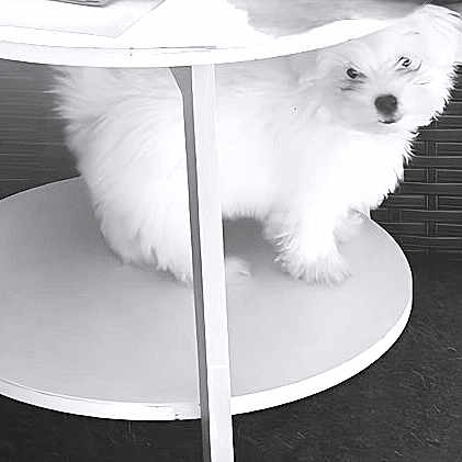 Boxy