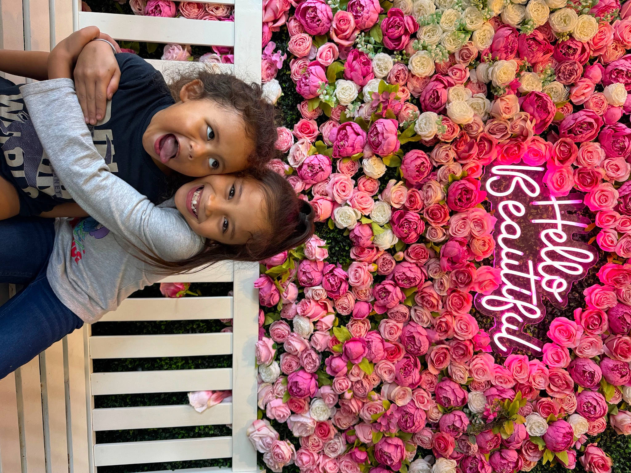 Santali-ann is registered to the contest to win money with this photo: annual_plant, beauty, cut_flowers, floral_design, floristry, flower, flower_arranging, flowering_plant, happy, joy, magenta, people_in_nature, person, petal, pink, plant, red, rose, rose_family, rose_order