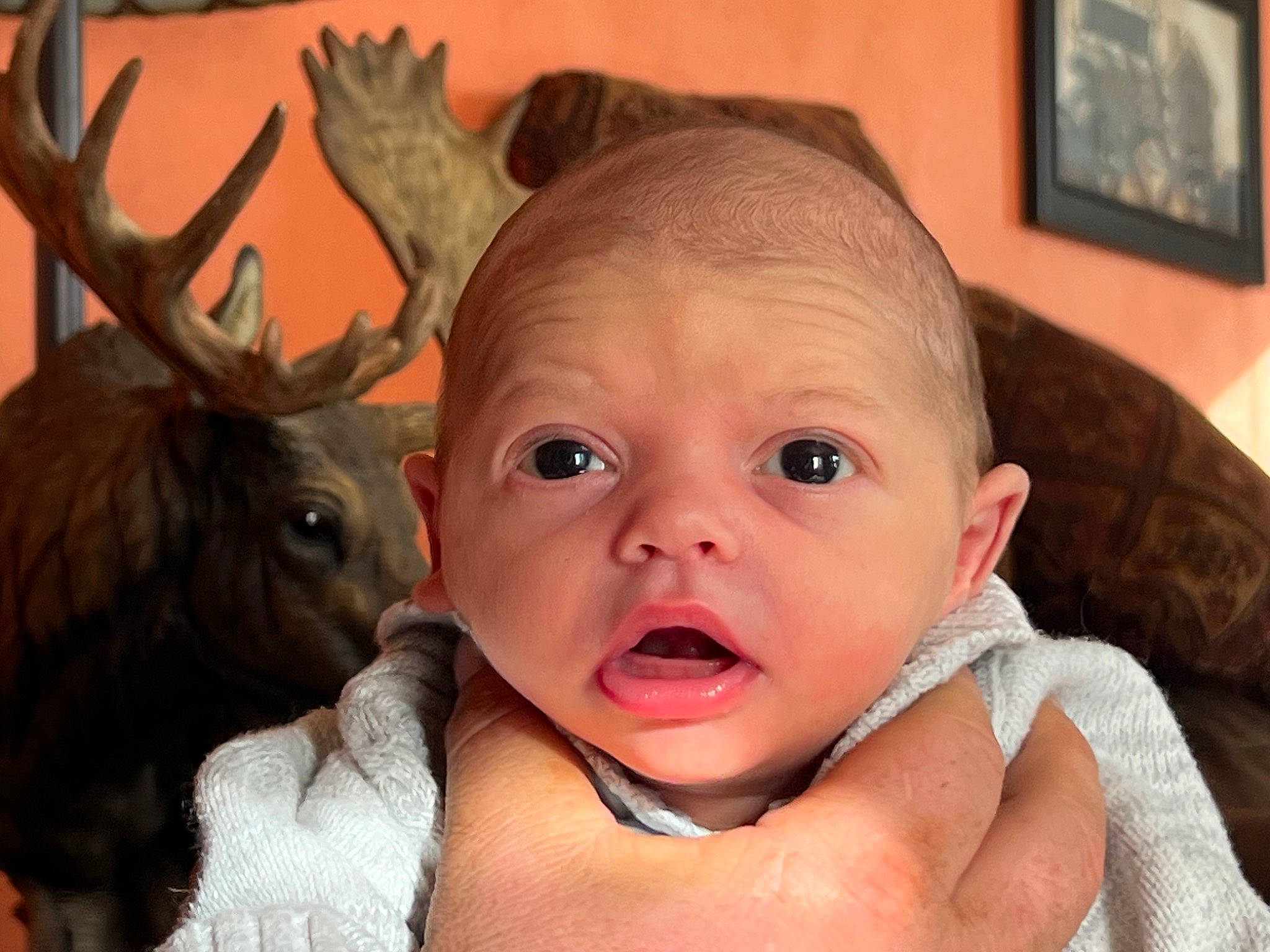 Hunter joined the competition — help win amazing prizes! baby, beauty, cheek, deer, ear, eyelash, fawn, fun, gesture, happy, horn, human_body, mouth, nose, organ, person, picture_frame, reindeer, skin, smile