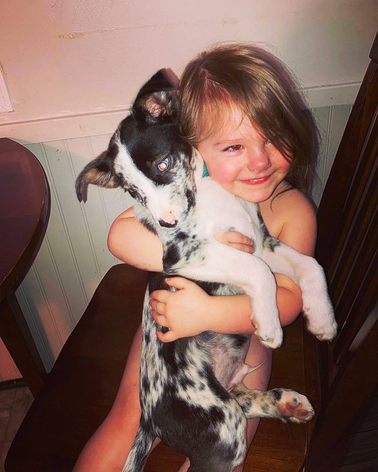 Kimberly joined the competition — help win amazing prizes! black_hair, carnivore, comfort, companion_dog, dog_breed, fawn, felidae, fun, gesture, hair, happy, iris, joy, knee, lap, leg, person, skin, small_to_medium_sized_cats, smile