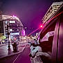 dog, husky, car, window, night, city, neon_lights, street, urban, animal, pet, road, building, lamp_post, traffic_light, purple, reflection, side_view, canine, adventure