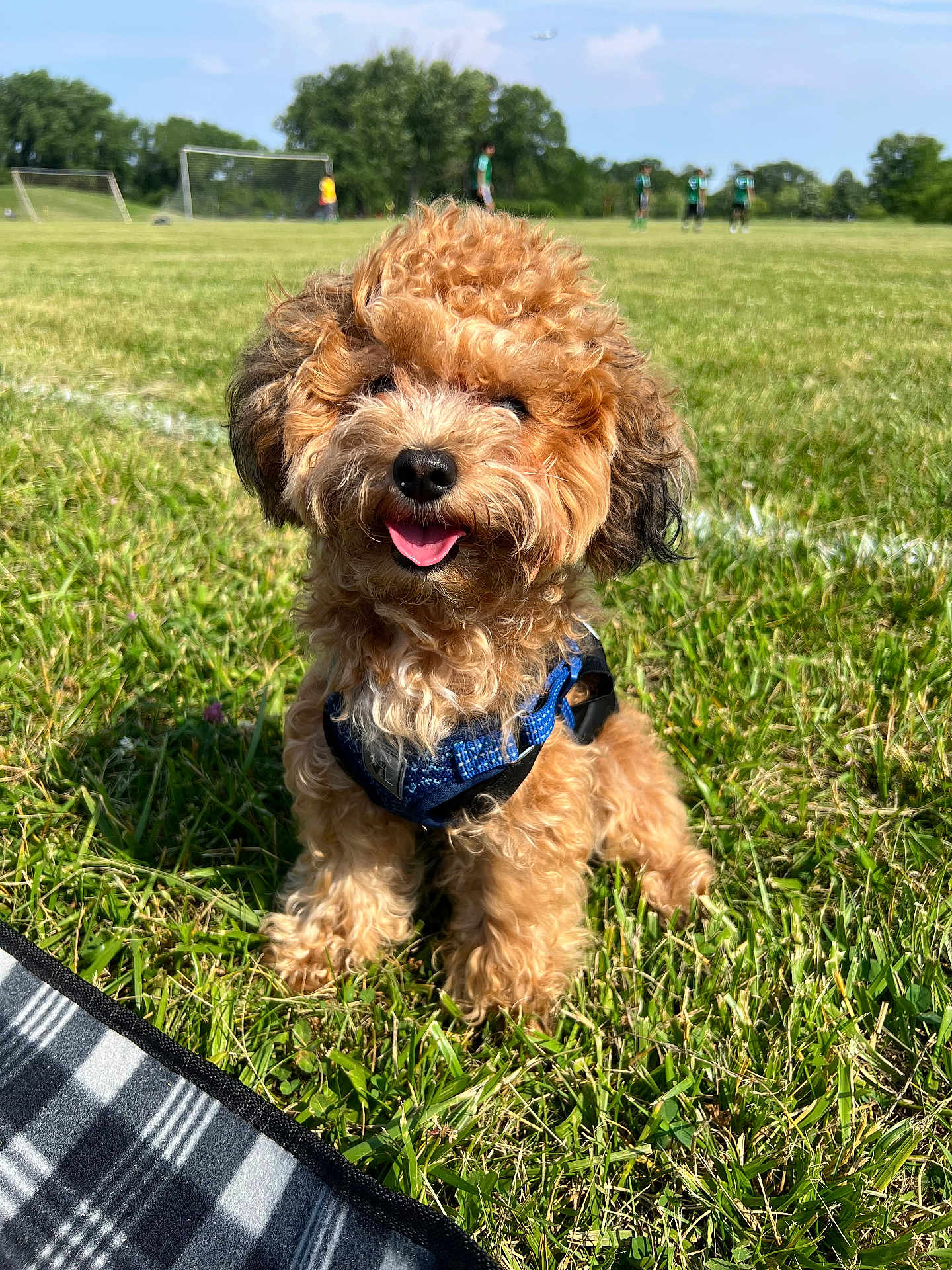 Astro