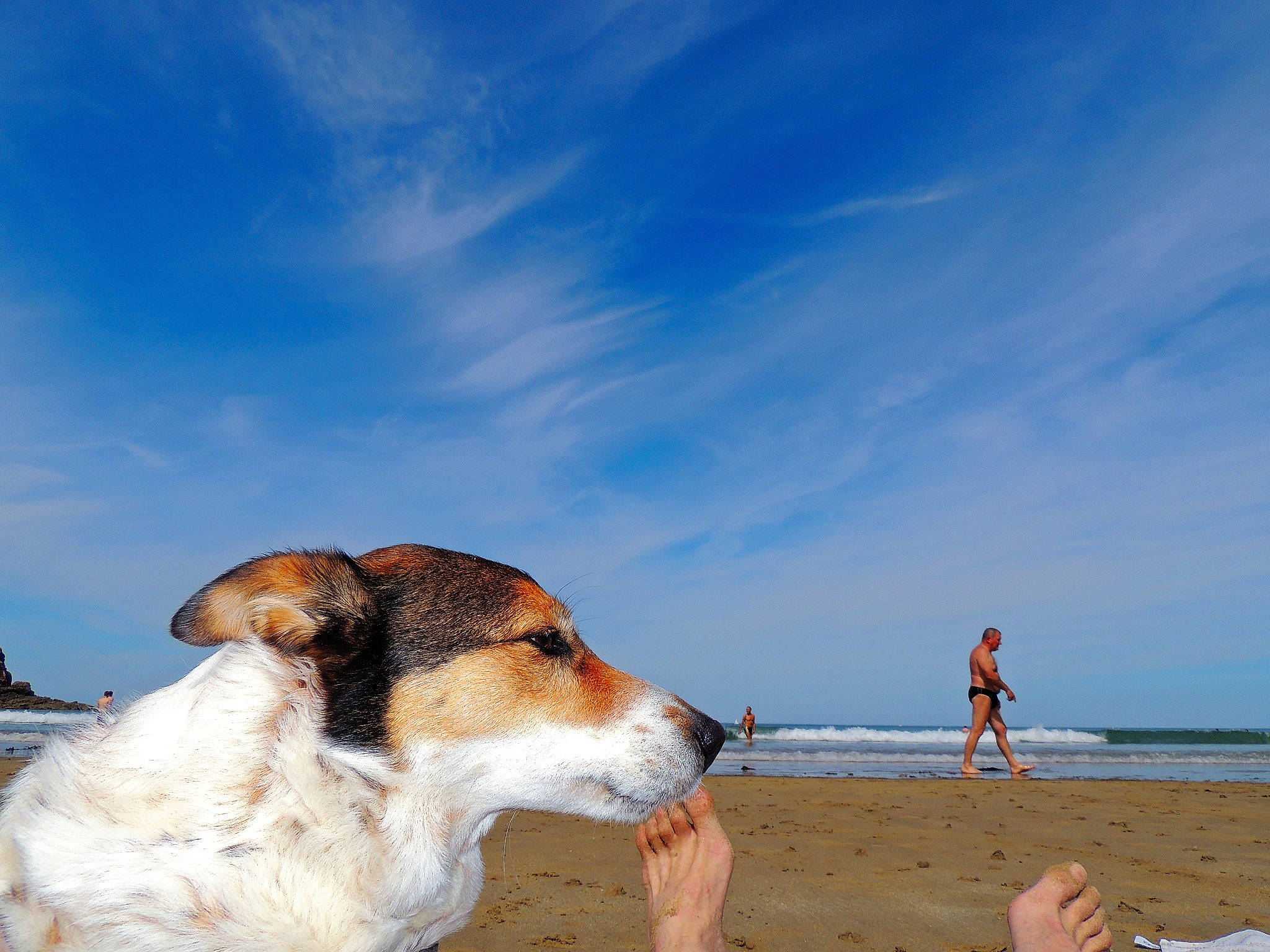 Fidji participe au concours pour gagner de l'argent avec cette photo : beach, canidae, carnivore, cloud, coastal_and_oceanic_landforms, companion_dog, dog, dog_breed, fawn, horizon, landscape, leisure, people_on_beach, sand, sky, sporting_group, travel, water, wave, wind_wave