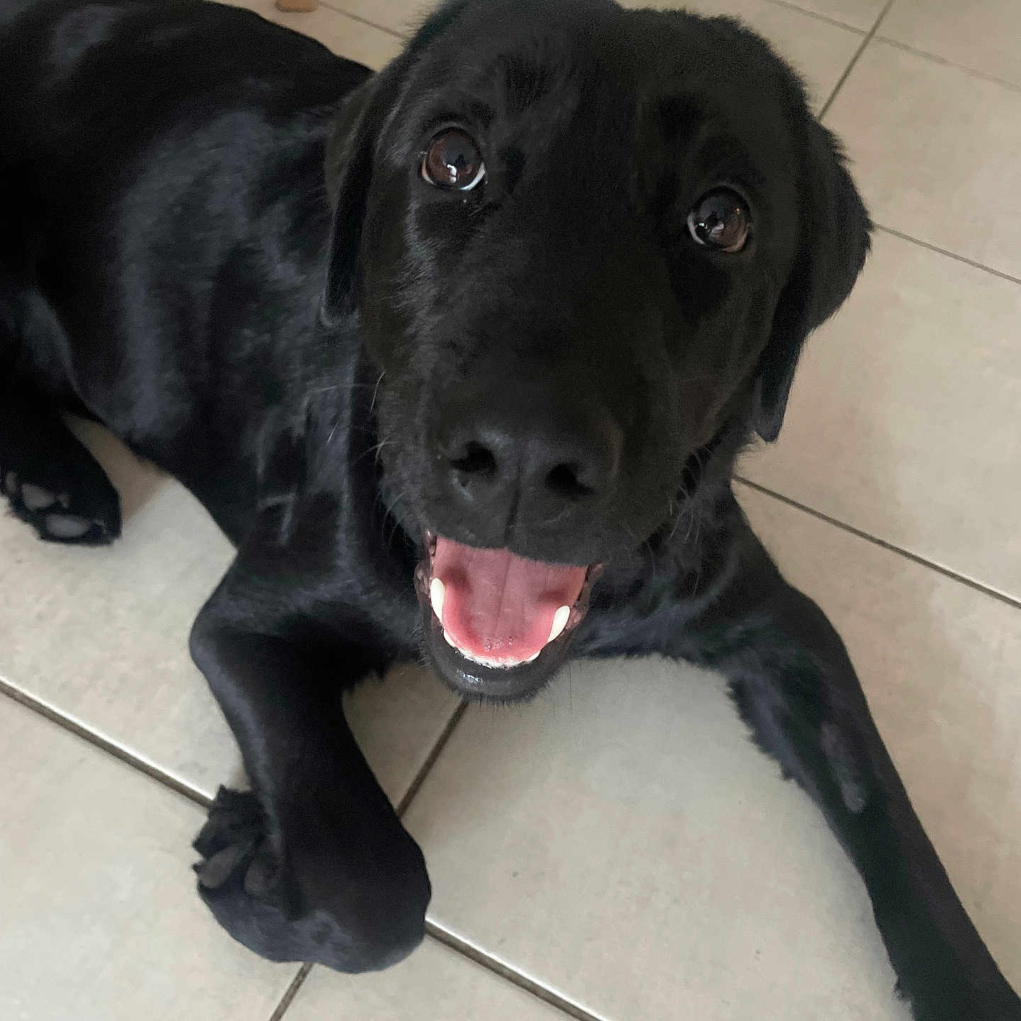 Nala