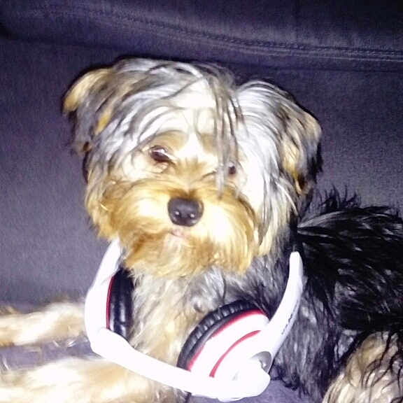 Mozart