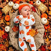 Rollins is registered to the contest to win money with this photo: baby, infant, autumn, pumpkin, fall_leaves, orange, white_onesie, hat, blanket, hay_bale, pinecone, acorn, nature, outdoor, seasonal, cute, portrait, child, holiday, festive