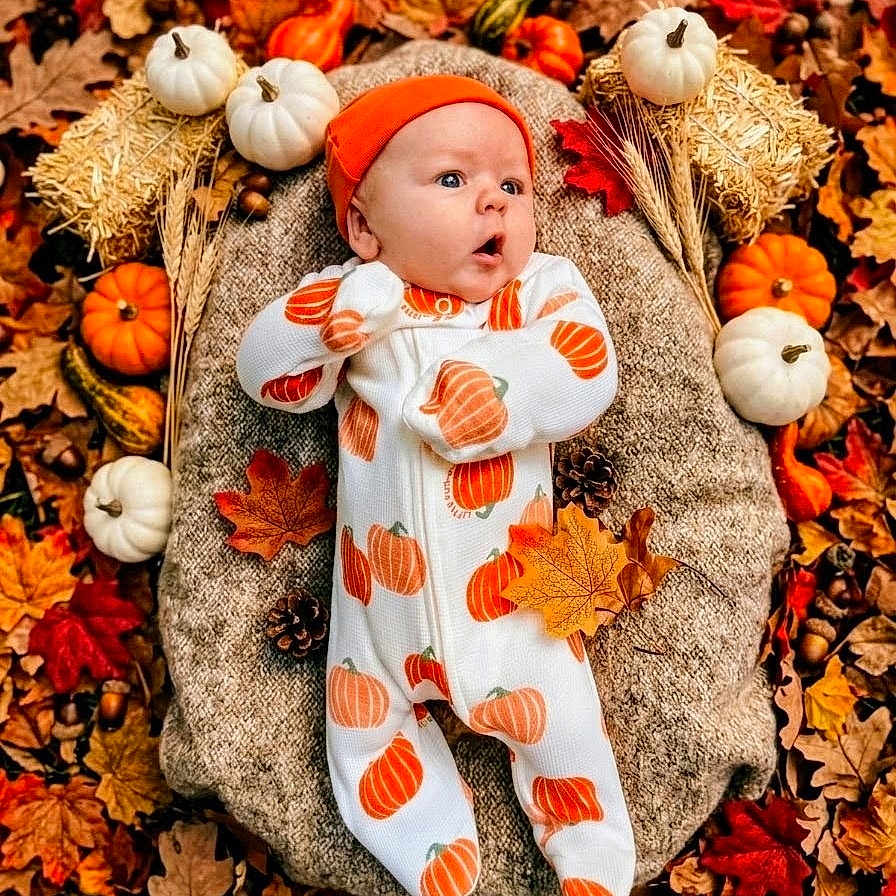 Rollins is registered to the contest to win money with this photo: baby, infant, autumn, pumpkin, fall_leaves, orange, white_onesie, hat, blanket, hay_bale, pinecone, acorn, nature, outdoor, seasonal, cute, portrait, child, holiday, festive