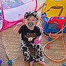 Remington joined the competition — help win amazing prizes! baby, child, infant, sitting, smiling, pacifier, bow, black_shirt, cow_print, pink_ball, toy_tent, toy_chair, playroom, carpet, rope, colorful_toys, indoor, portrait, happy, playtime