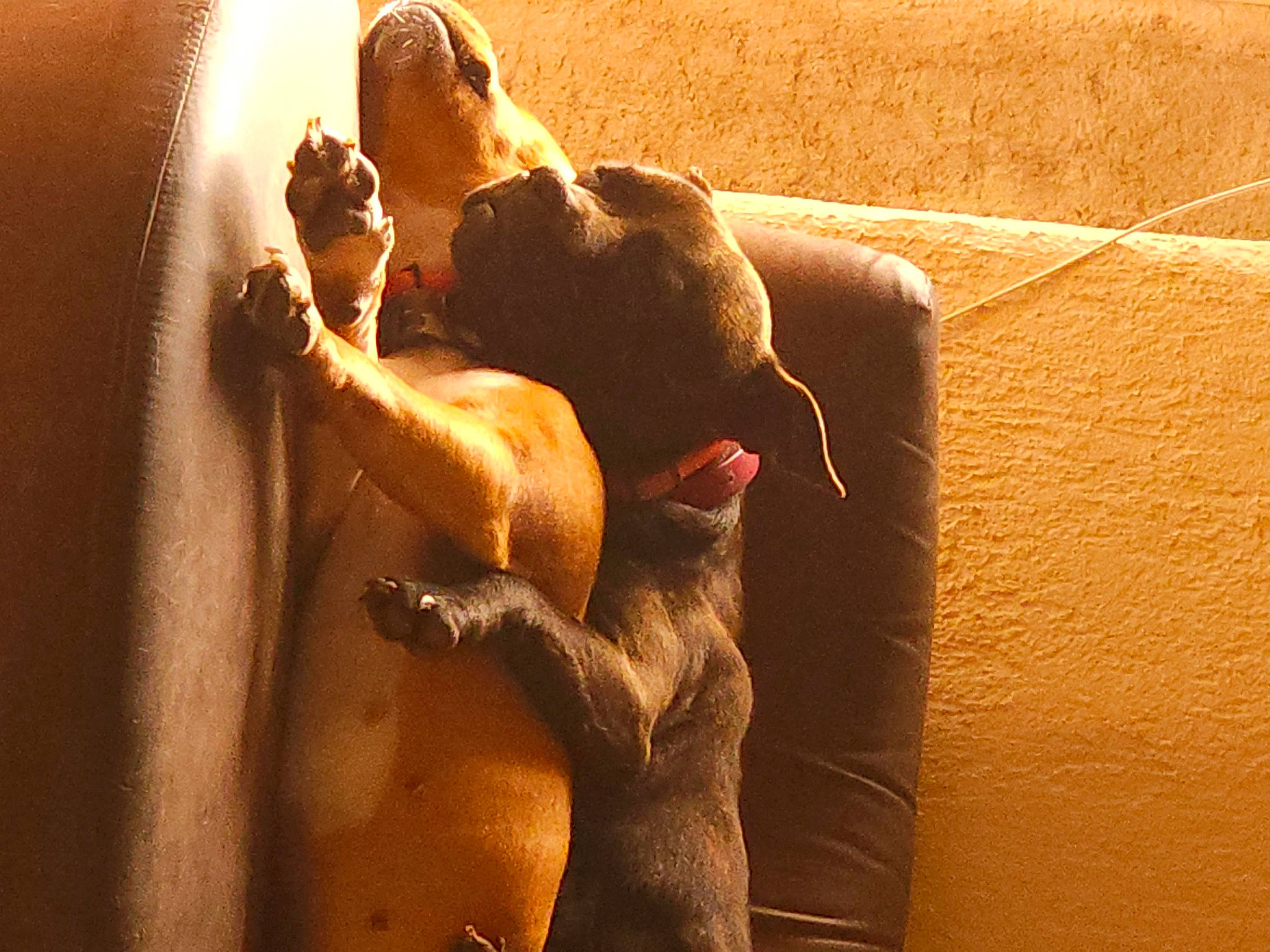 Sayia a rejoint le concours — aidez-le/la à gagner de superbes lots ! abdomen, arm, art, barechested, chest, elbow, fawn, finger, foot, hand, heat, human_body, human_leg, leg, sculpture, snout, thigh, trunk, wood, wrist