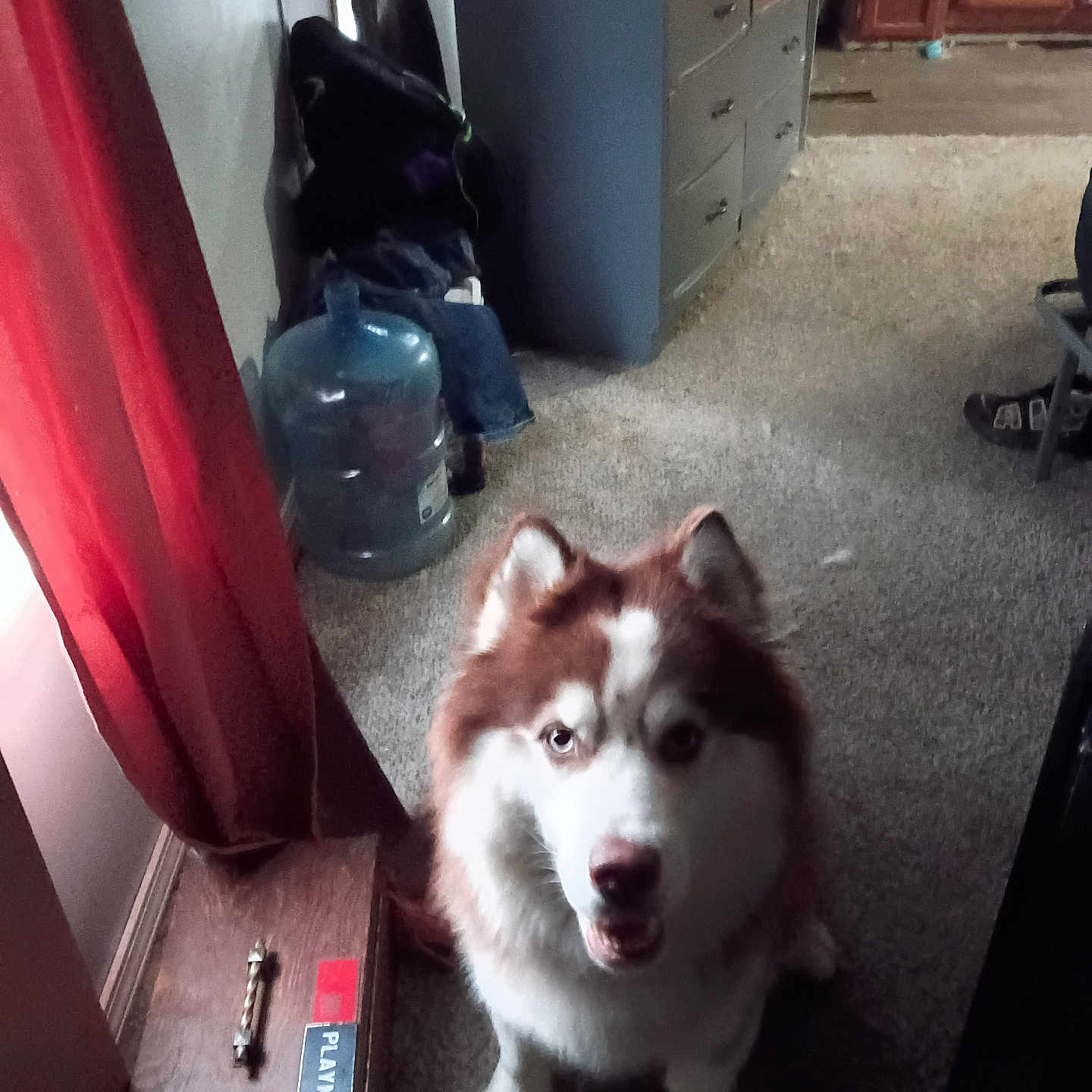 Thor