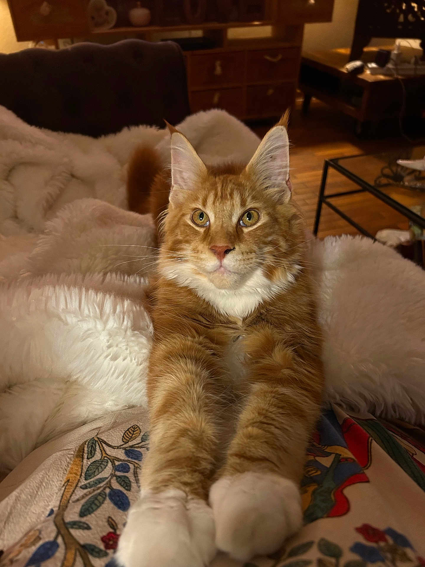 Balthazar