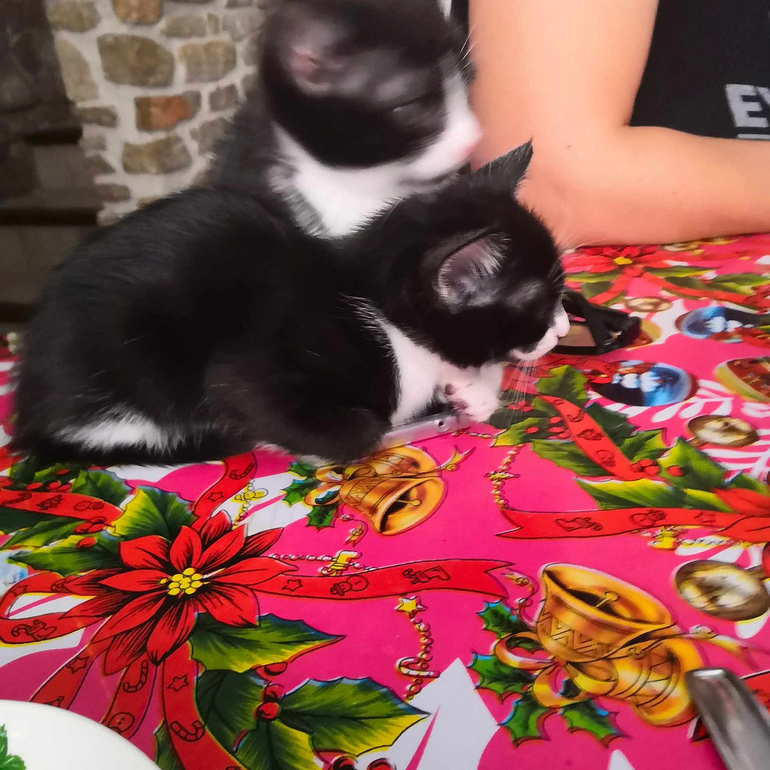 Kiche Et Lily