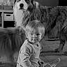 animal, black_and_white, child, curious, cute, dog, domestic, floor, furniture, hair, home, indoor, looking_at_camera, pet, portrait, sitting, tile_floor, toddler, wall, young_child