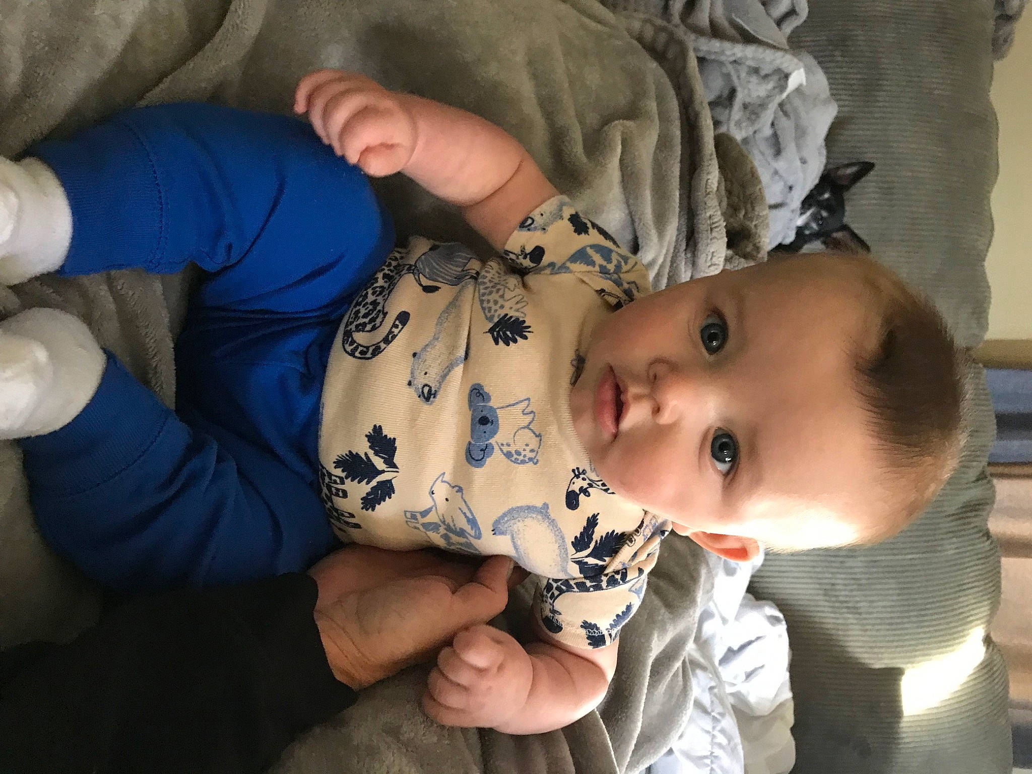 Jaxson joined the competition — help win amazing prizes! baby, baby_products, baby_toddler_clothing, cheek, child, comfort, eyelash, finger, gesture, hand, happy, iris, mouth, nail, nose, person, sitting, skin, sleeve, thumb