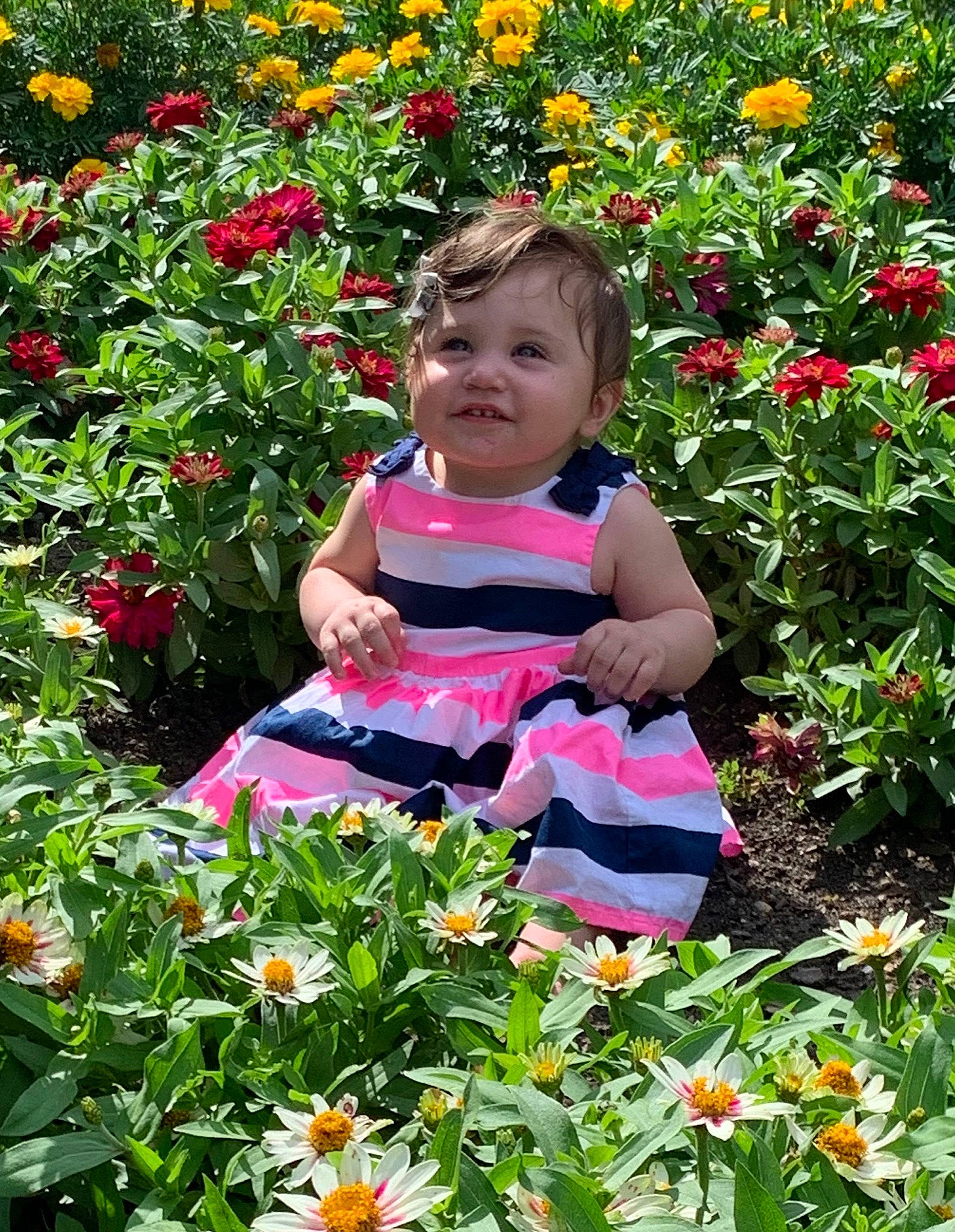Madilynn joined the competition — help win amazing prizes! annual_plant, botany, child, coneflower, flower, flowering_plant, garden, gardening, joy, perennial_plant, person, plant, shrub, spring, wildflower, zinnia