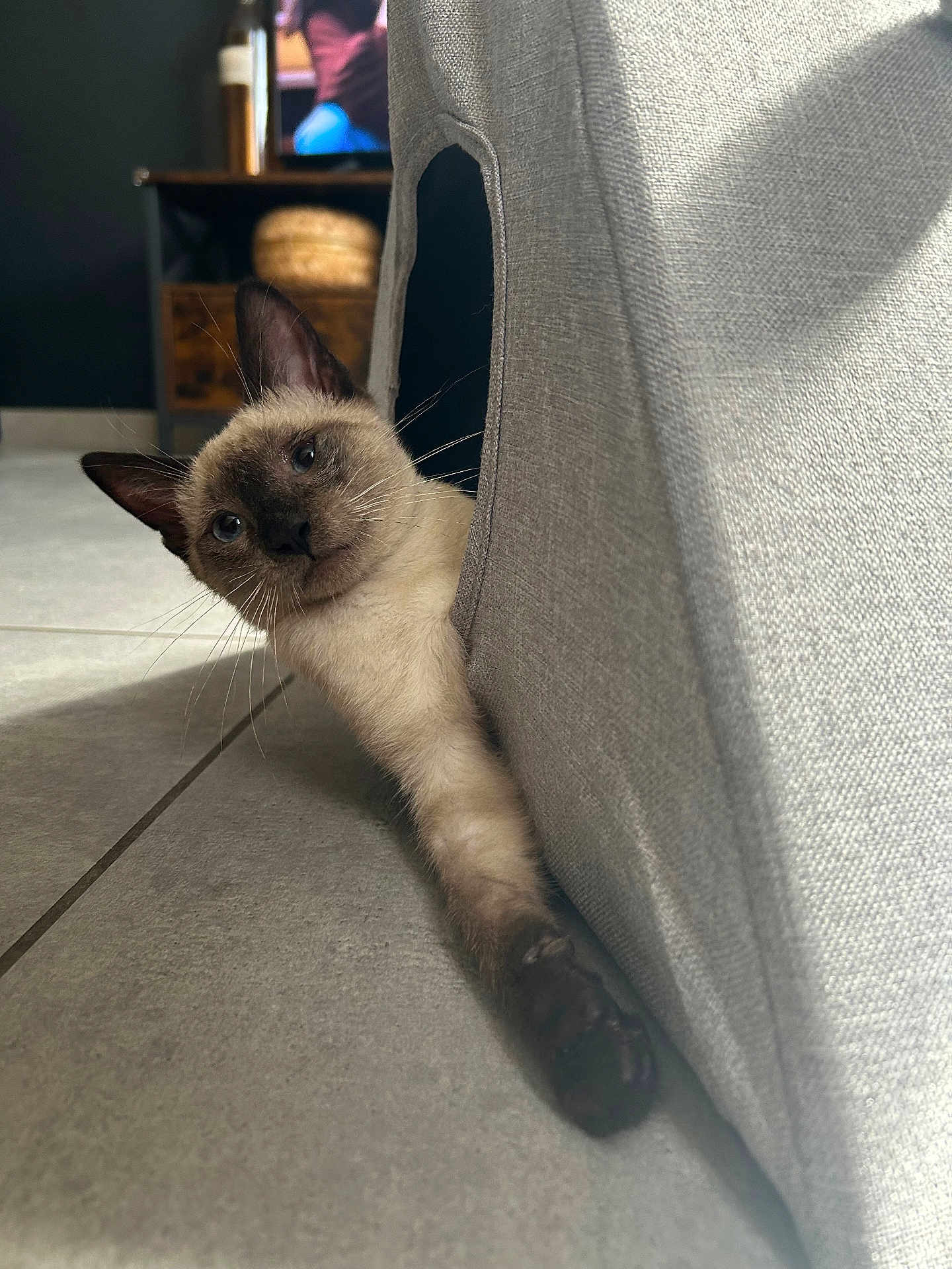 Azur
