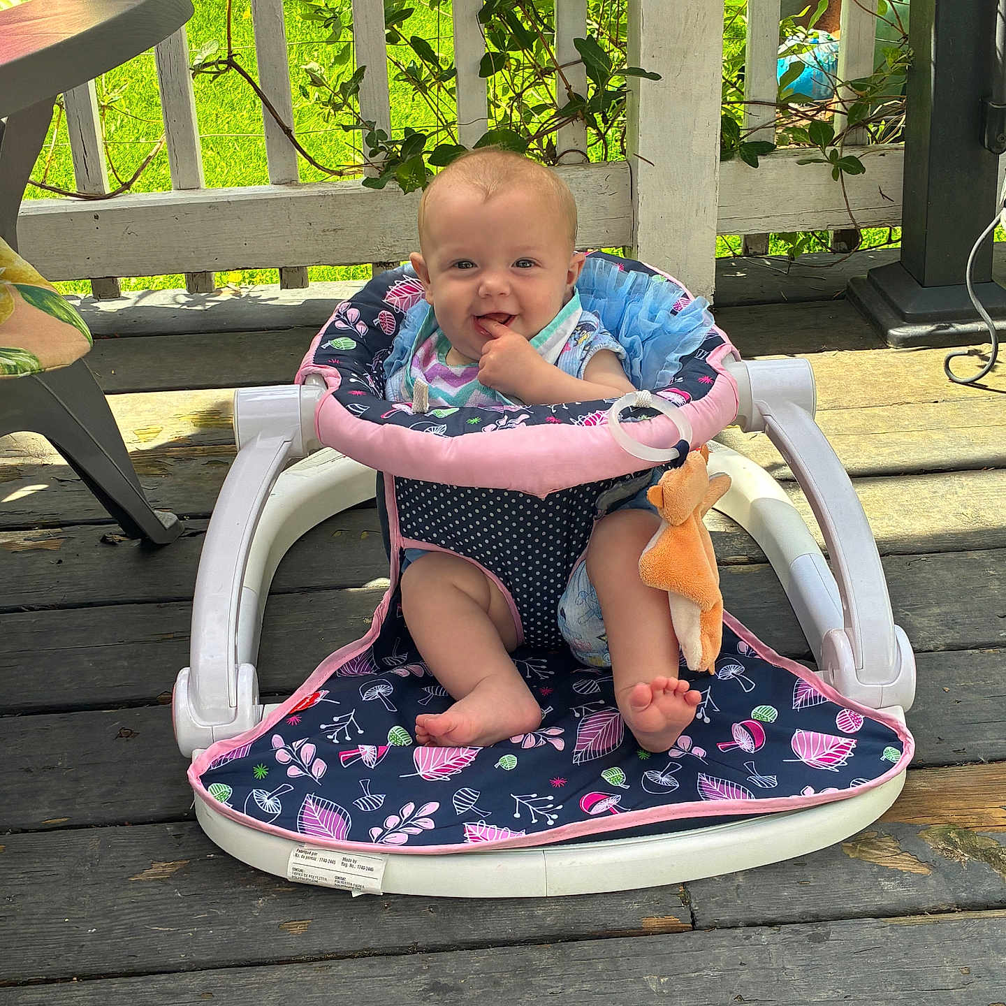 Breyer joined the competition — help win amazing prizes! baby, walker, toy, outdoor, porch, wooden_floor, greenery, sunlight, smiling, cheerful, child, infant, plush_toy, clothing, seat, playtime, nature, fence, happy, cute