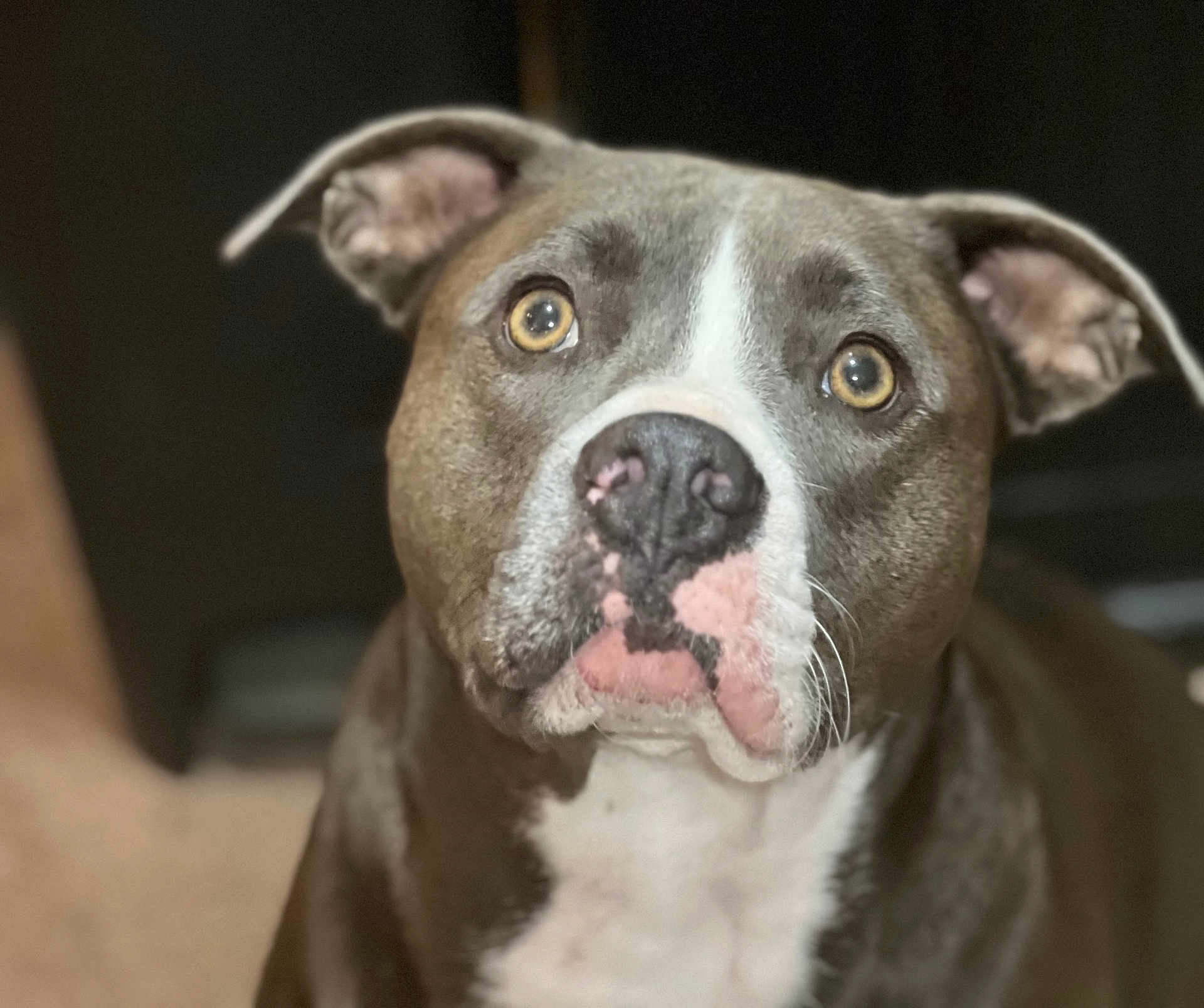Nala