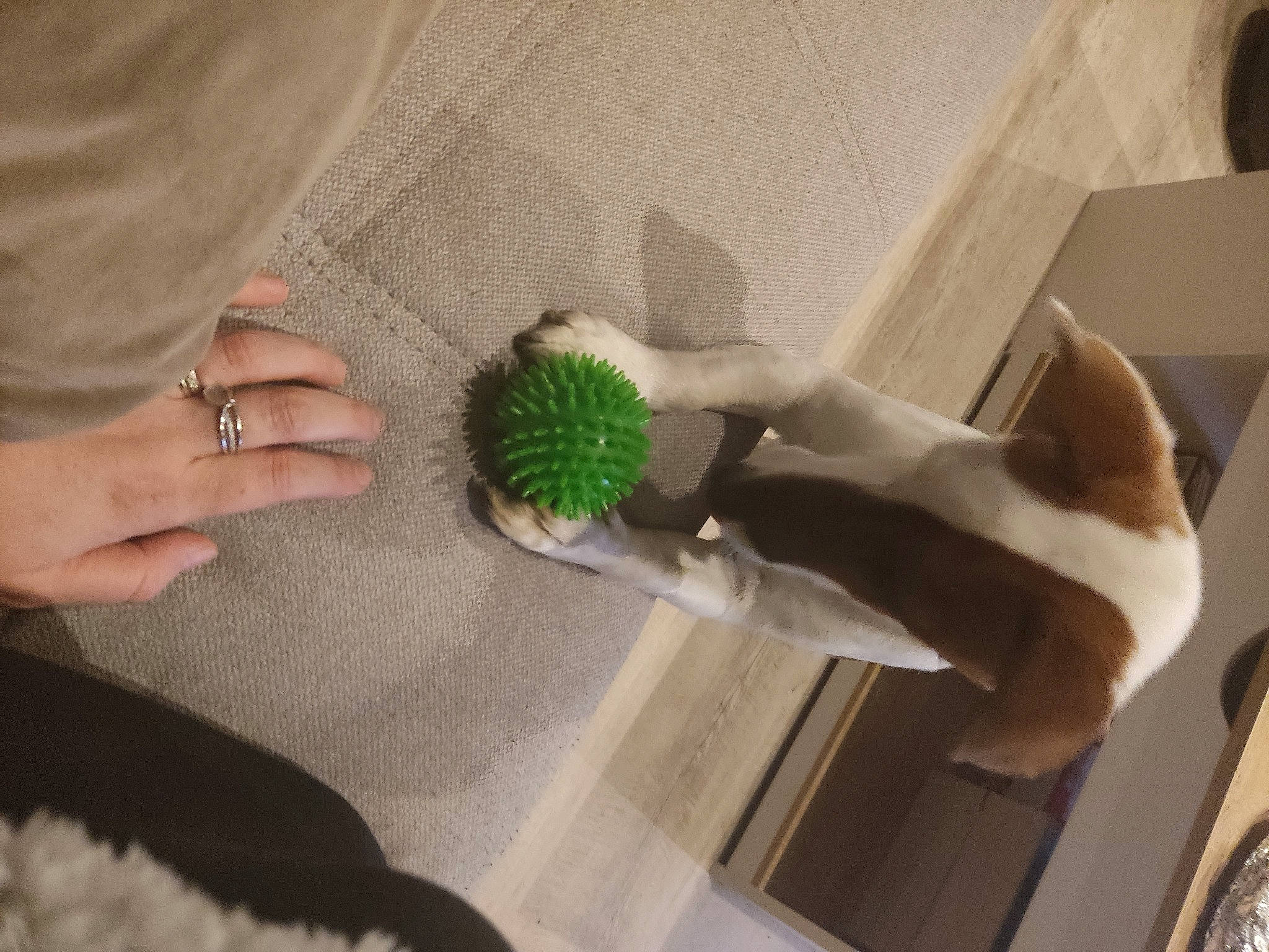 Oxie a rejoint le concours — aidez-le/la à gagner de superbes lots ! arm, audio_equipment, fashion_accessory, finger, flooring, gesture, glove, hand, nail, room, stuffed_toy, textile, thumb, wool, wrist