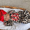 baby, newborn, sleeping, basket, wicker, cushion, red_bow, leopard_print, clothing, infant, cute, monogram, portrait, indoor, soft_lighting, peaceful, resting, tiny_hands, tiny_feet, sleep