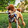Auggie
