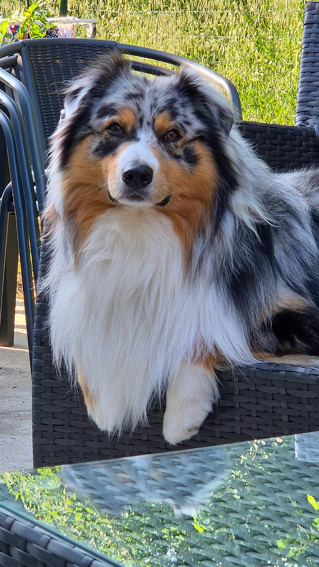 Thor