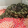 blanket, camouflage_blanket, cat, corner, cozy, door, ears, floor, food, fur, indoor, kibble, kitten, pattern, pet, pink_blanket, resting, tabby_cat, wall, whiskers