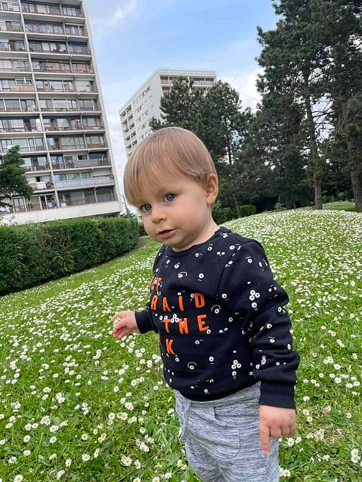 Gianni participe au concours pour gagner de l'argent avec cette photo : botany, building, cloud, flower, grass, grass_family, green, groundcover, lawn, leaf, leisure, meadow, people_in_nature, person, petal, photograph, plant, shrub, sky, toddler