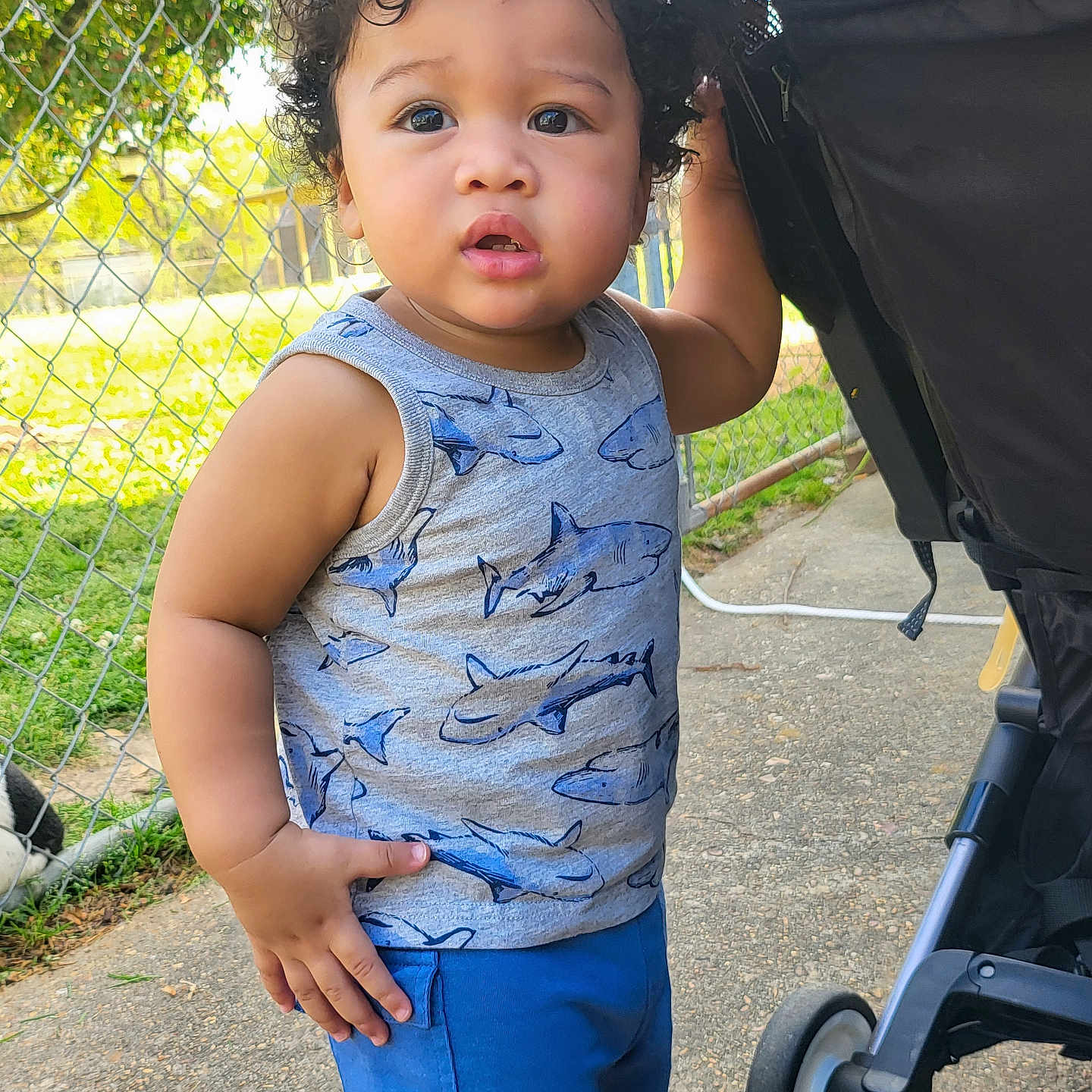 Derrick is registered to the contest to win money with this photo: toddler, child, curly_hair, tank_top, blue_shorts, stroller, outdoor, sidewalk, fence, greenery, sunlight, casual_clothing, person, young_child, summer, daytime, curious_expression, walking, shark_pattern, bare_arms
