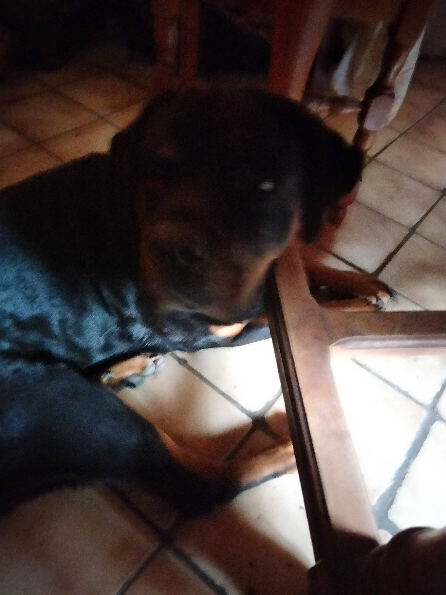 Nala