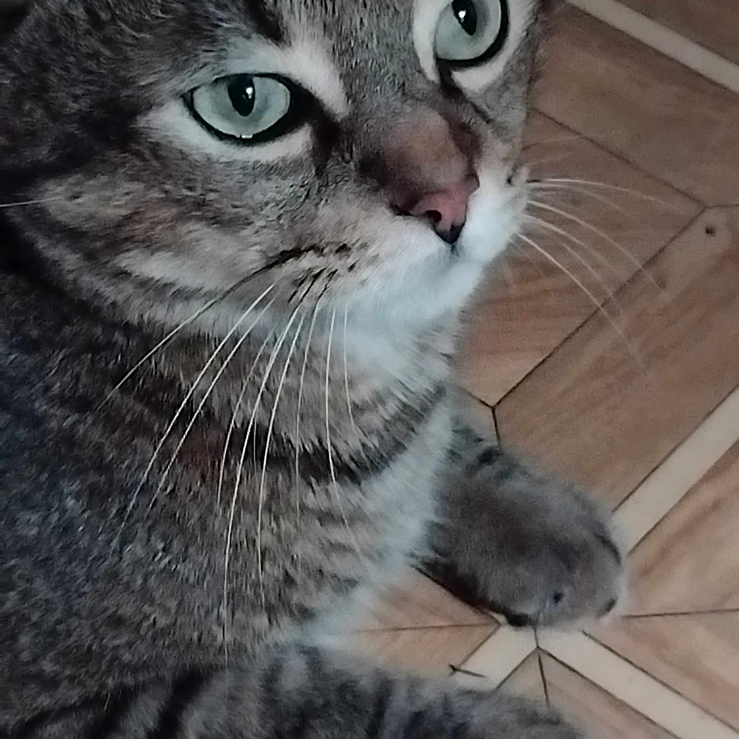 Rudy