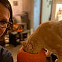 cat, pumpkin, person, glasses, indoor, table, orange, curious, head, face, blurred_background, cozy, lighting, home, decor, animal, fall, autumn, funny, pet