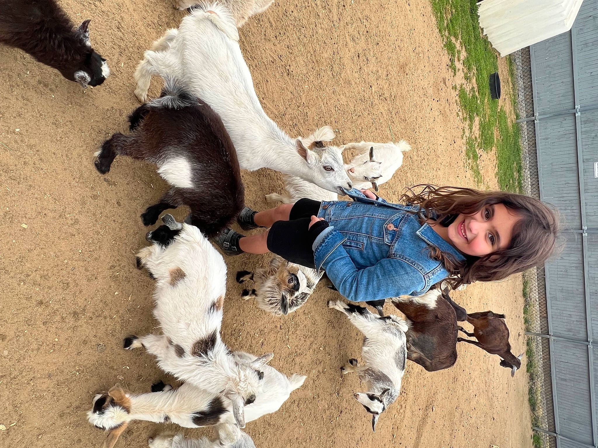 Valentina joined the competition — help win amazing prizes! canidae, companion_dog, dog_breed, fawn, flooring, fun, fur, joy, leisure, pattern, person, plant, shadow, sitting, smile, sporting_group, tail, toddler, toy, vertebrate