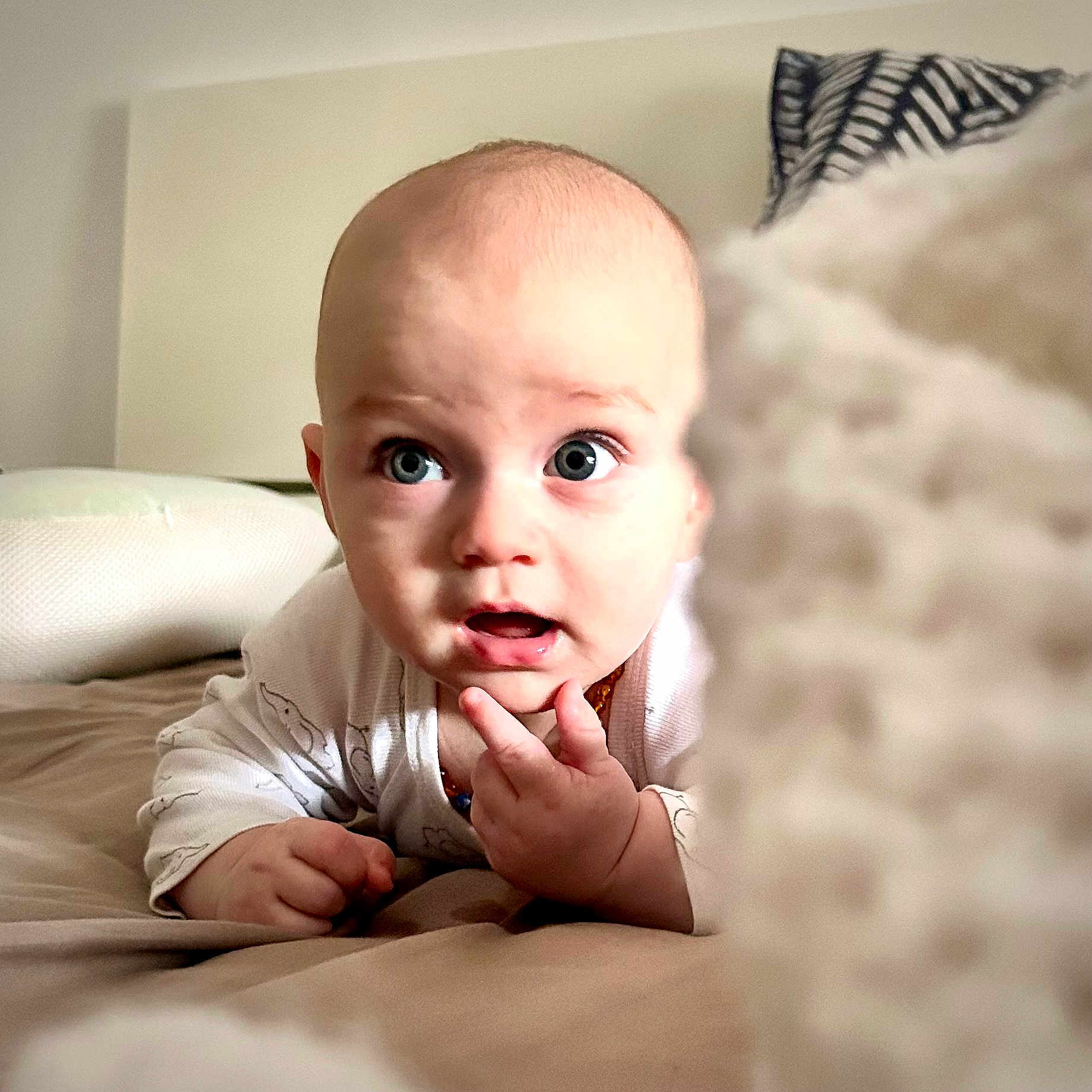 Andrea participe au concours pour gagner de l'argent avec cette photo : baby, bed, bedroom, bodypart, crawling, cushion, face, finger, furniture, hand, happy, head, homedecor, indoors, newborn, person, photography, portrait, room, smile