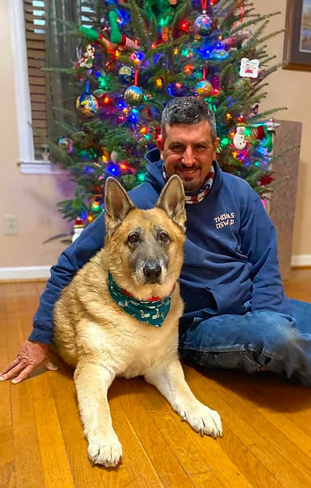 Zeke joined the competition — help win amazing prizes! carnivore, christmas_decoration, christmas_ornament, christmas_tree, companion_dog, dog, dog_breed, event, fawn, flooring, fur, german_shepherd_dog, herding_dog, holiday, king_shepherd, smile, snout, sporting_group, tree, wood