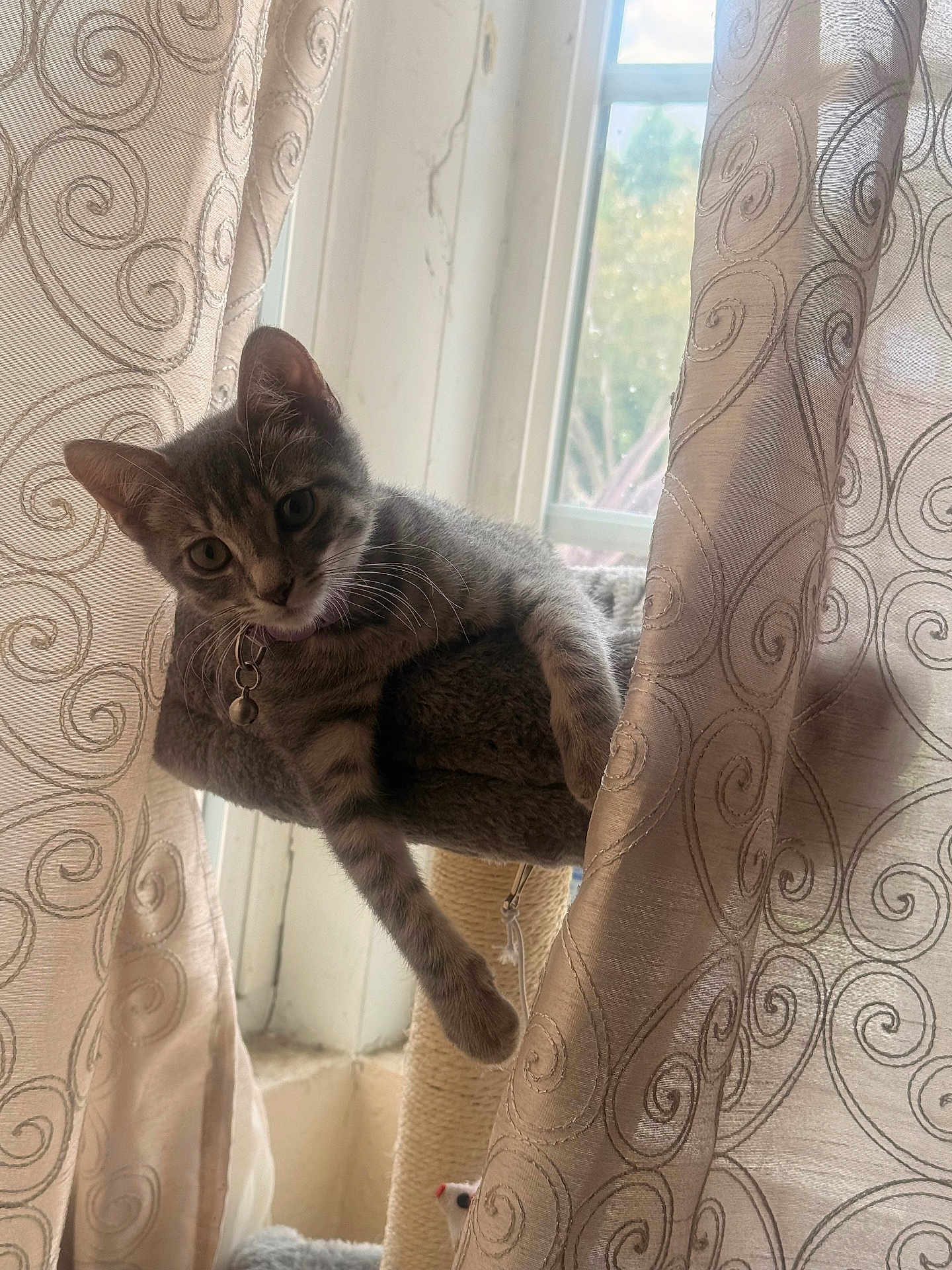 Sienna