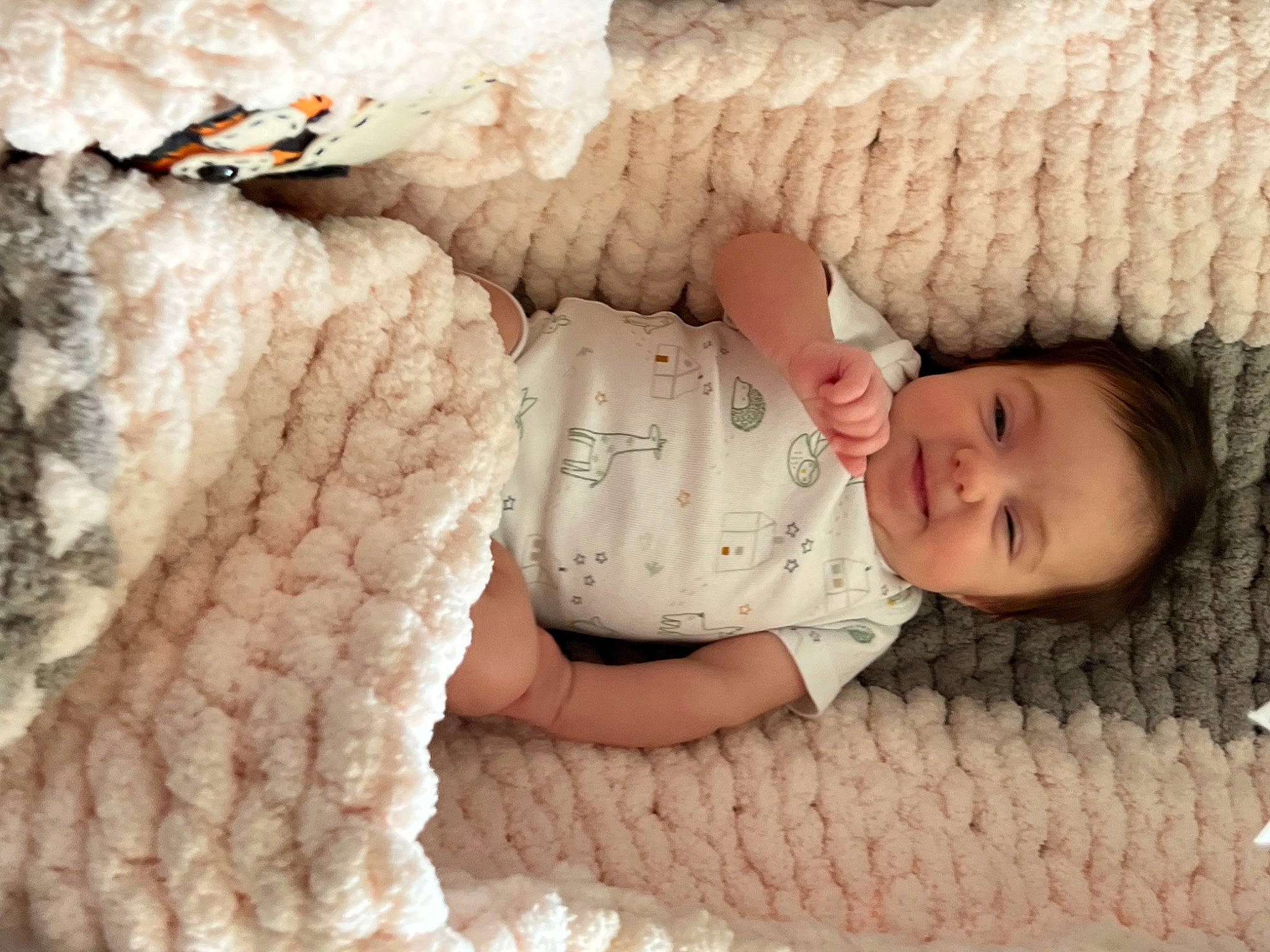 Eryn is registered to the contest to win money with this photo: art, baby, baby_safety, baby_sleeping, baby_toddler_clothing, beauty, bedtime, child, comfort, finger, fur, gesture, knitting, linens, pattern, person, sleeve, textile, toddler, wool