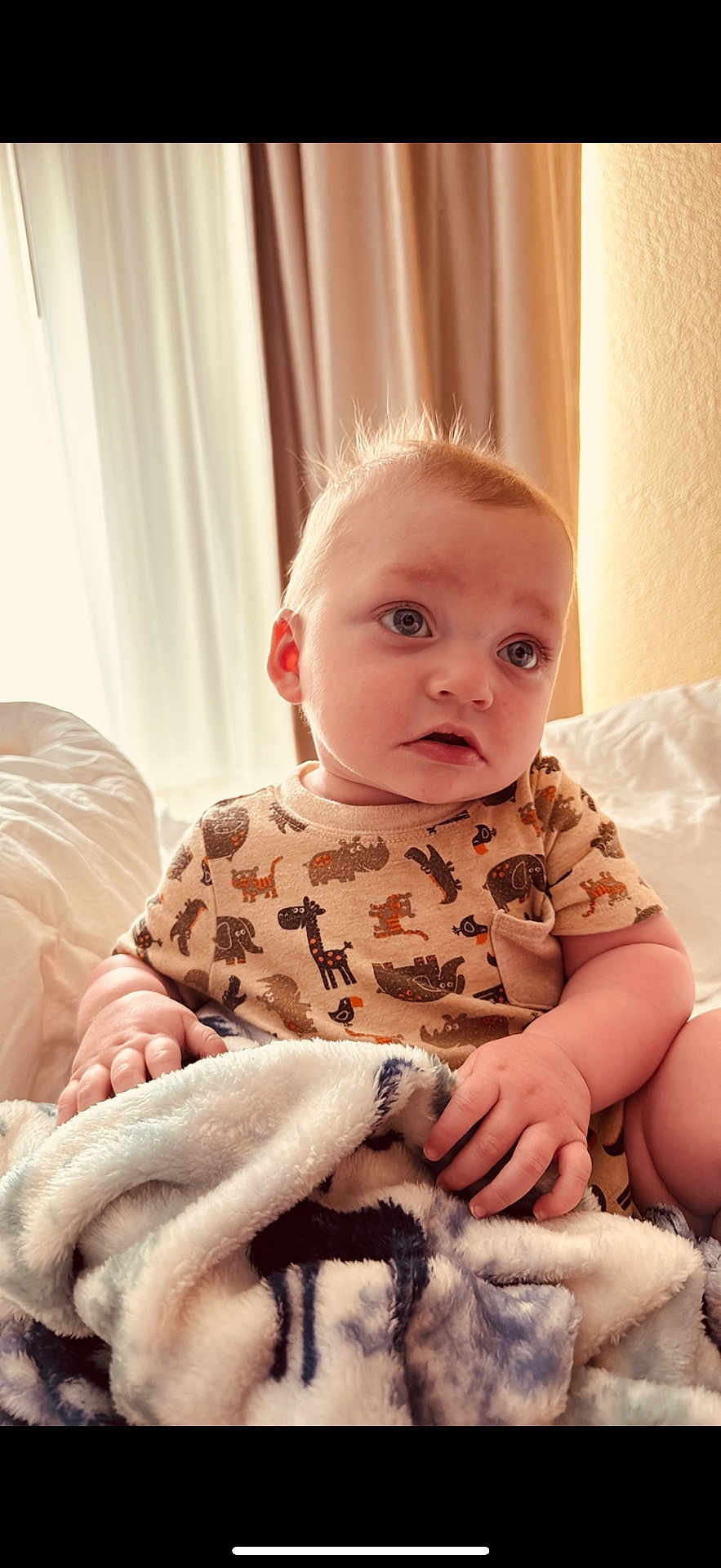 Bentley joined the competition — help win amazing prizes! baby, infant, child, blanket, bed, curtains, animal_print, shirt, soft_light, indoors, portrait, cute, hand, sitting, cozy, expression, face, young, comfort, warm