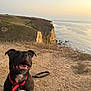 dog, black_dog, collar, leash, outdoor, cliff, rocks, ocean, sunset, sky, nature, happy, pet, canine, landscape, ground, smiling, animal, coast, scenic