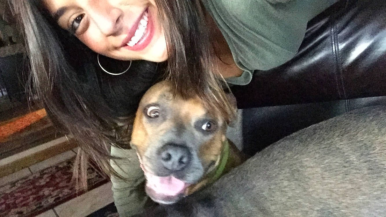 Santana is registered to the contest to win money with this photo: black_hair, brown, carnivore, comfort, companion_dog, dog, dog_breed, facial_expression, friendship, happy, iris, jaw, mammal, organ, skin, snout, tooth, vertebrate, whiskers, working_animal