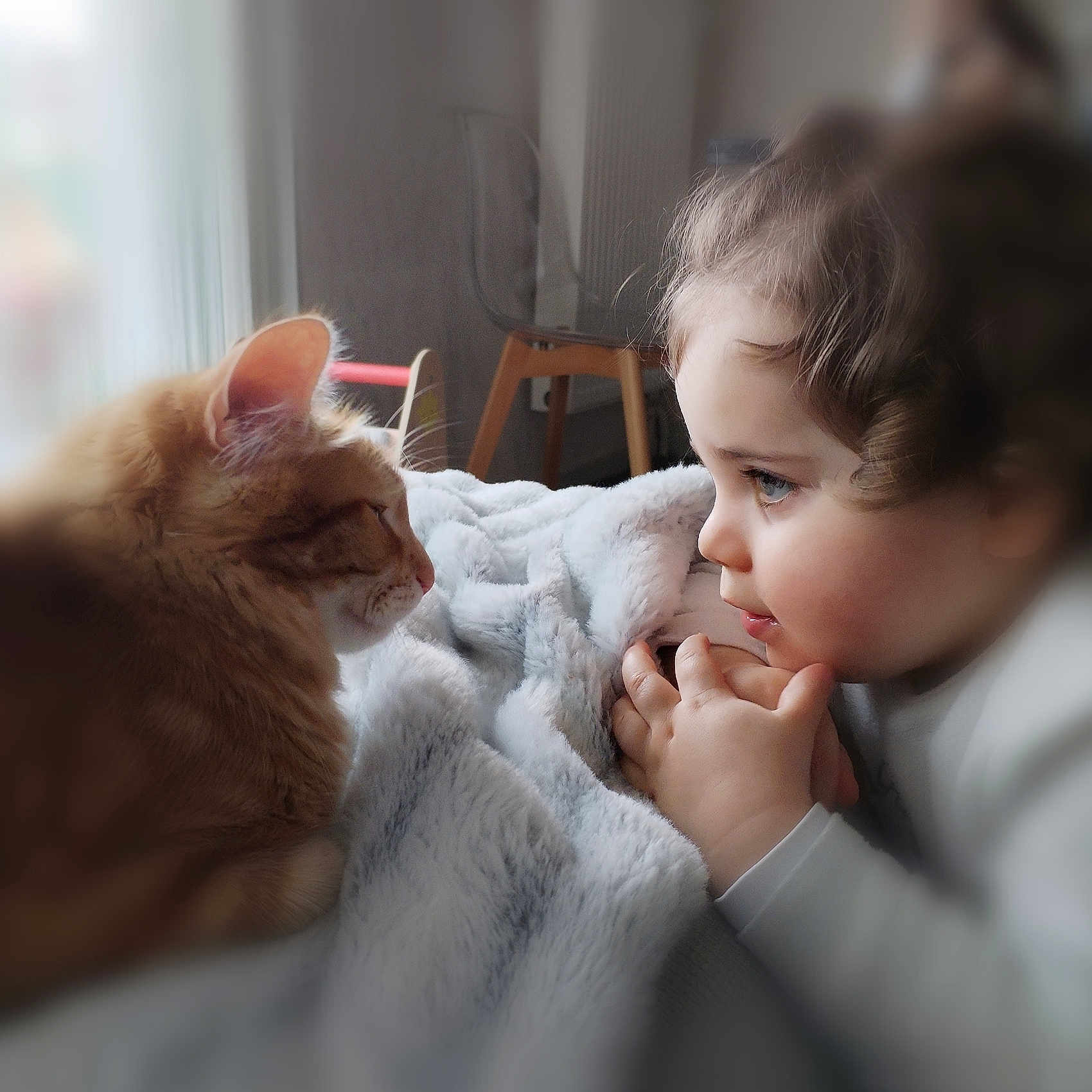 Emma participe au concours pour gagner de l'argent avec cette photo : abyssinian, adult, animal, baby, blanket, bodypart, cat, couch, face, female, finger, furniture, hand, head, kitten, manx, person, pet, photography, woman