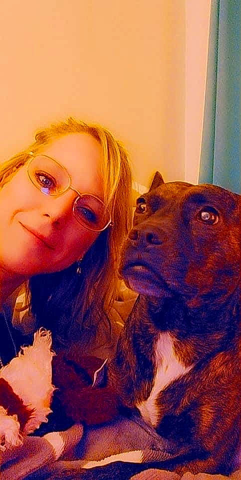 Tara a rejoint le concours — aidez-le/la à gagner de superbes lots ! carnivore, companion_dog, cool, curtain, dog, dog_breed, ear, eyewear, fawn, friendship, gesture, hair, hairstyle, happy, iris, nose, selfie, smile, vision_care, working_animal