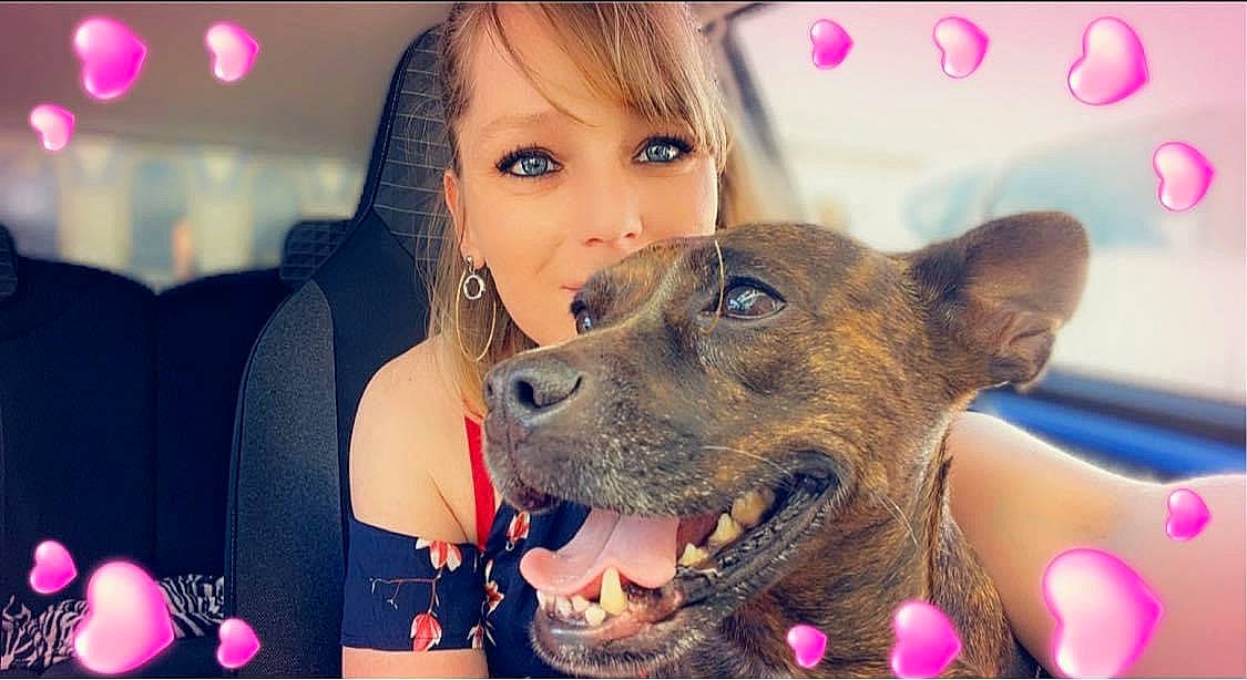 Tara a rejoint le concours — aidez-le/la à gagner de superbes lots ! beauty, carnivore, companion_dog, cool, dog, dog_breed, ear, eyelash, fawn, flash_photography, fun, happy, human, jaw, mouth, nose, organ, photograph, skin, snout